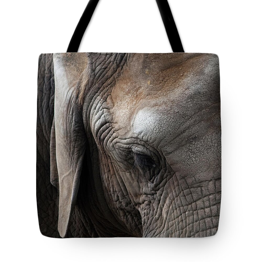 Elephant Tote Bag featuring the photograph Elephant Eye by Lorraine Devon Wilke