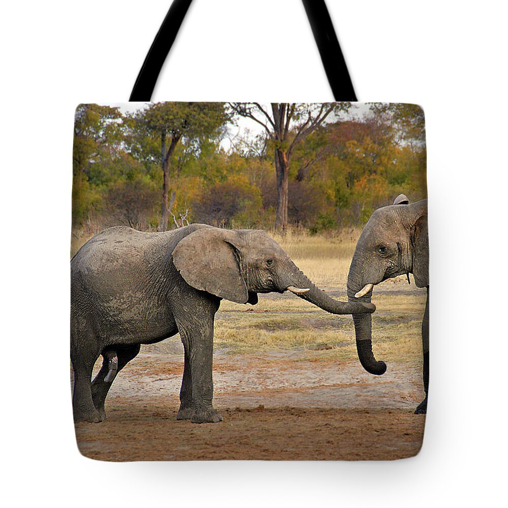 Elephant Tote Bag featuring the photograph Elephant Greeting by Ted Keller