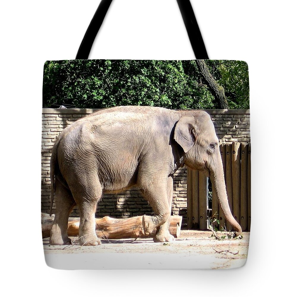 Elephants Tote Bag featuring the photograph Elephant by Rose Santuci-Sofranko