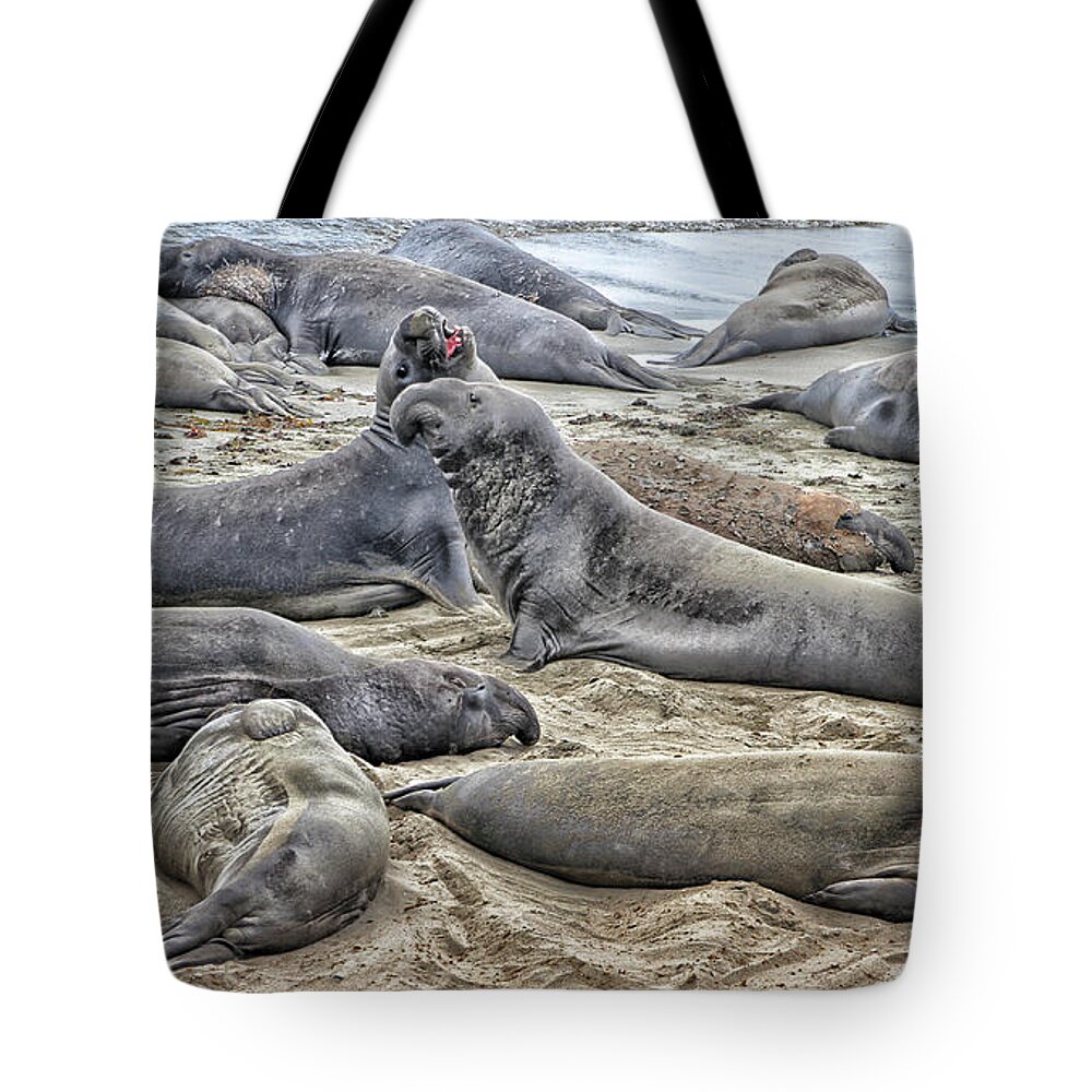 2014 Tote Bag featuring the photograph Elephant Seals - 3203 by Deidre Elzer-Lento