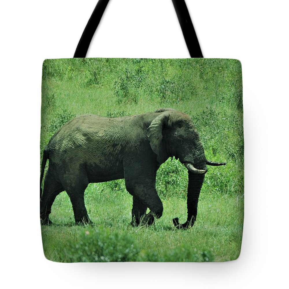 Elephant Tote Bag featuring the photograph Elephant Walks by Vijay Sharon Govender