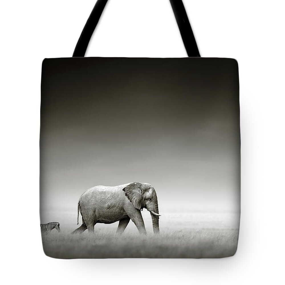Elephant; Zebra; Behind; Follow; Huge; Big; Grass; Grassland; Field; Open; Plains; Grassfield; Dark; Sky; Together; Togetherness; Art; Artistic; Black; White; B&w; Monochrome; Image; African; Animal; Wildlife; Wild; Mammal; Animal; Two; Moody; Outdoor; Nature; Africa; Nobody; Photograph; Etosha; National; Park; Loxodonta; Africana; Walk; Namibia Tote Bag featuring the photograph Elephant with zebra by Johan Swanepoel