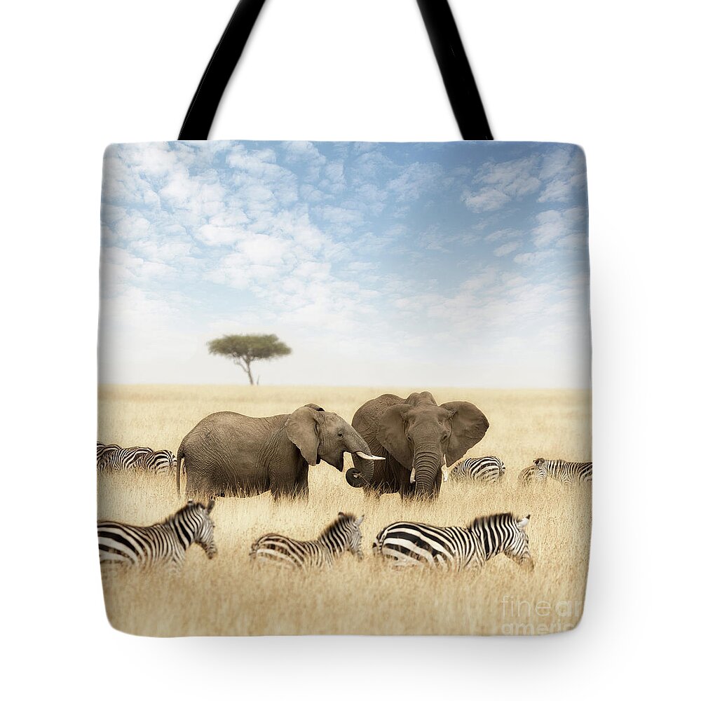 Elephant Tote Bag featuring the photograph Elephants and zebras in the grasslands of the Masai Mara by Jane Rix