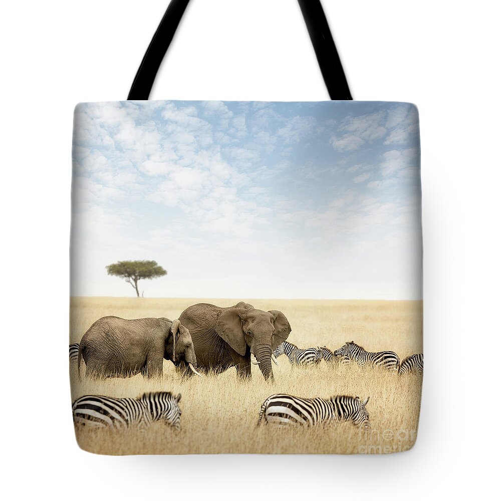 Elephant Tote Bag featuring the photograph Elephants and zebras in the Masai Mara by Jane Rix