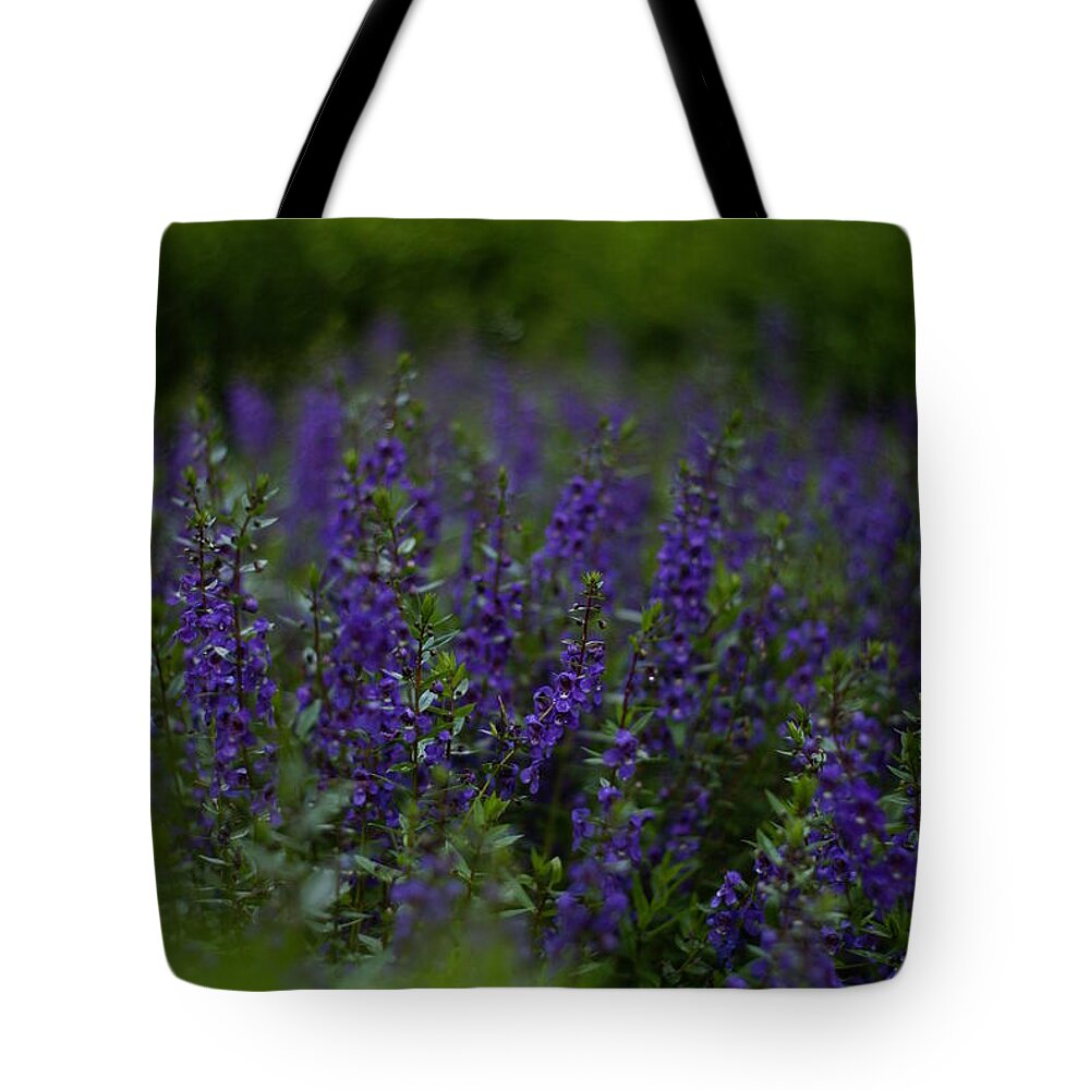 Flower Tote Bag featuring the photograph Elizabethan Gardens by Andreas Freund