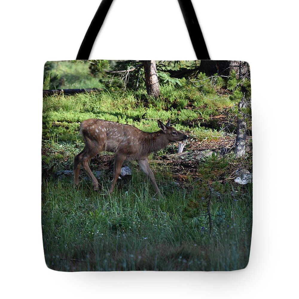 Animal Tote Bag featuring the photograph Baby Elk RMNP CO by Margarethe Binkley