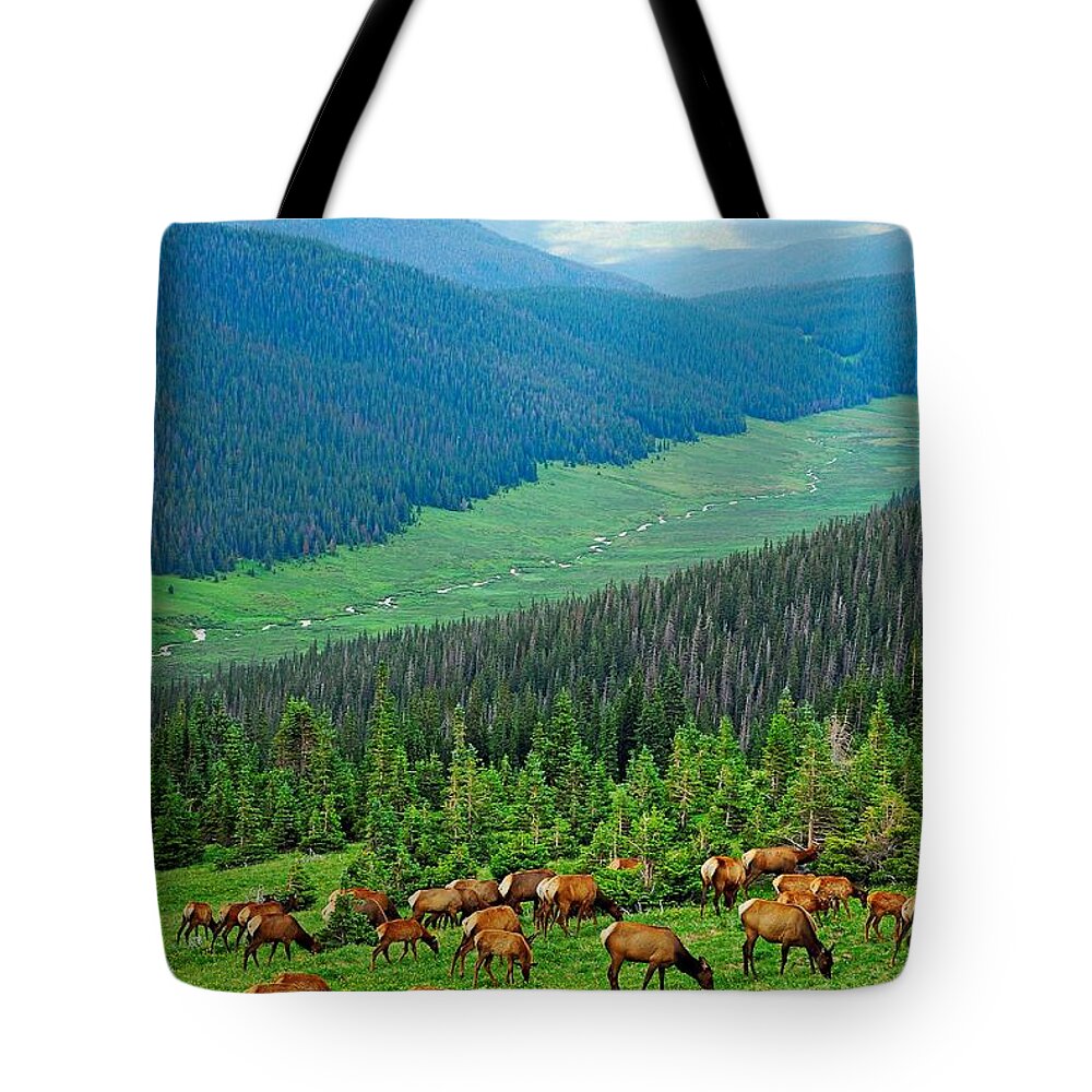 Elk Tote Bag featuring the photograph Elk Highlands by Robert Meyers-Lussier