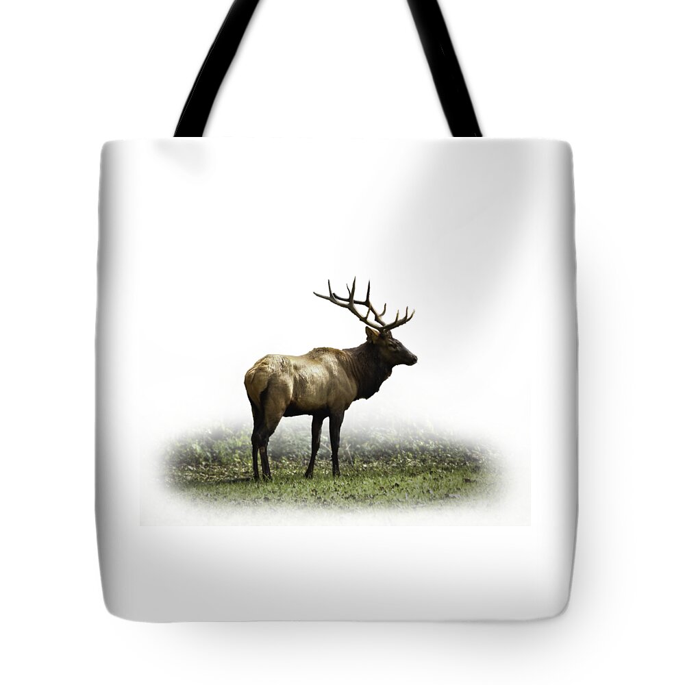 Elk Tote Bag featuring the photograph Elk III by Debra and Dave Vanderlaan