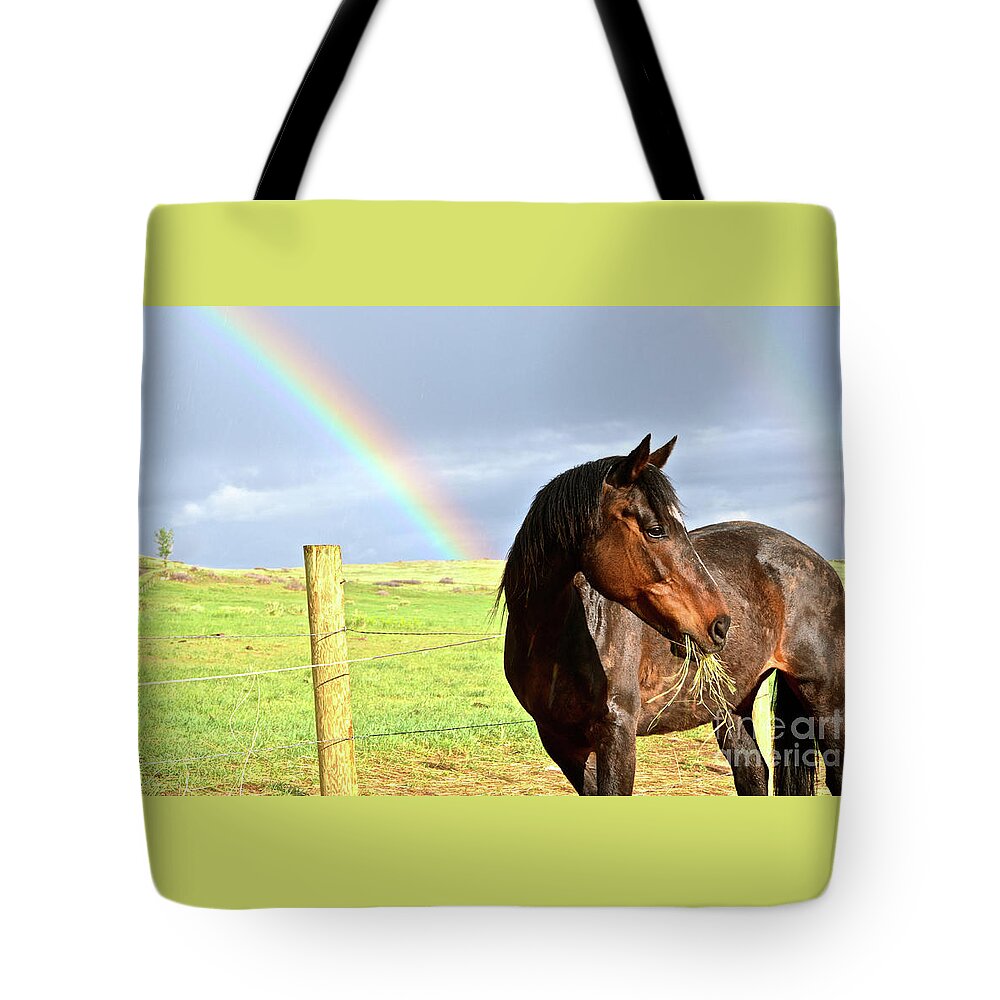 Horse Tote Bag featuring the photograph Ella and the Rainbows by Cindy Schneider