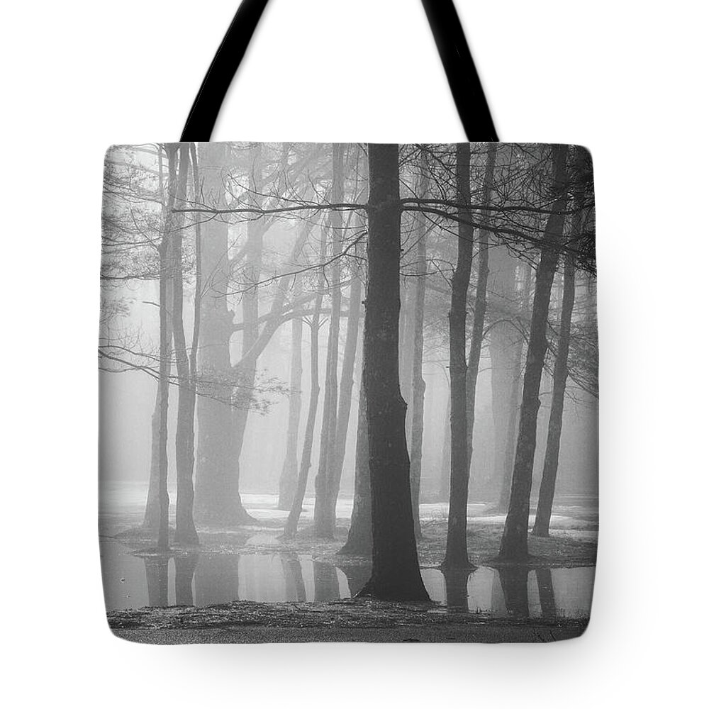 New England Tote Bag featuring the photograph Ellacoya Fog - January Thaw by Robert Clifford