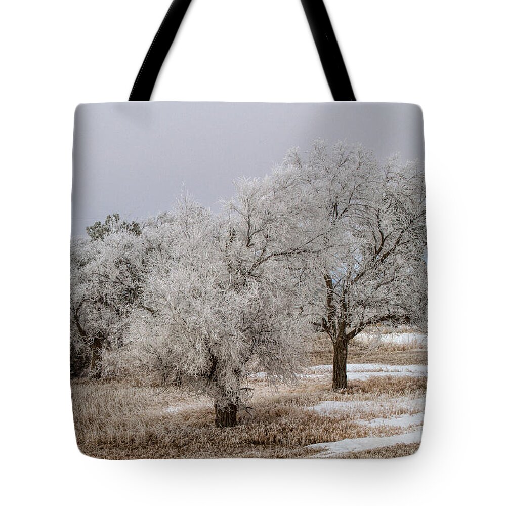 Elm Tree Tote Bag featuring the photograph Elm Frosting by Alana Thrower