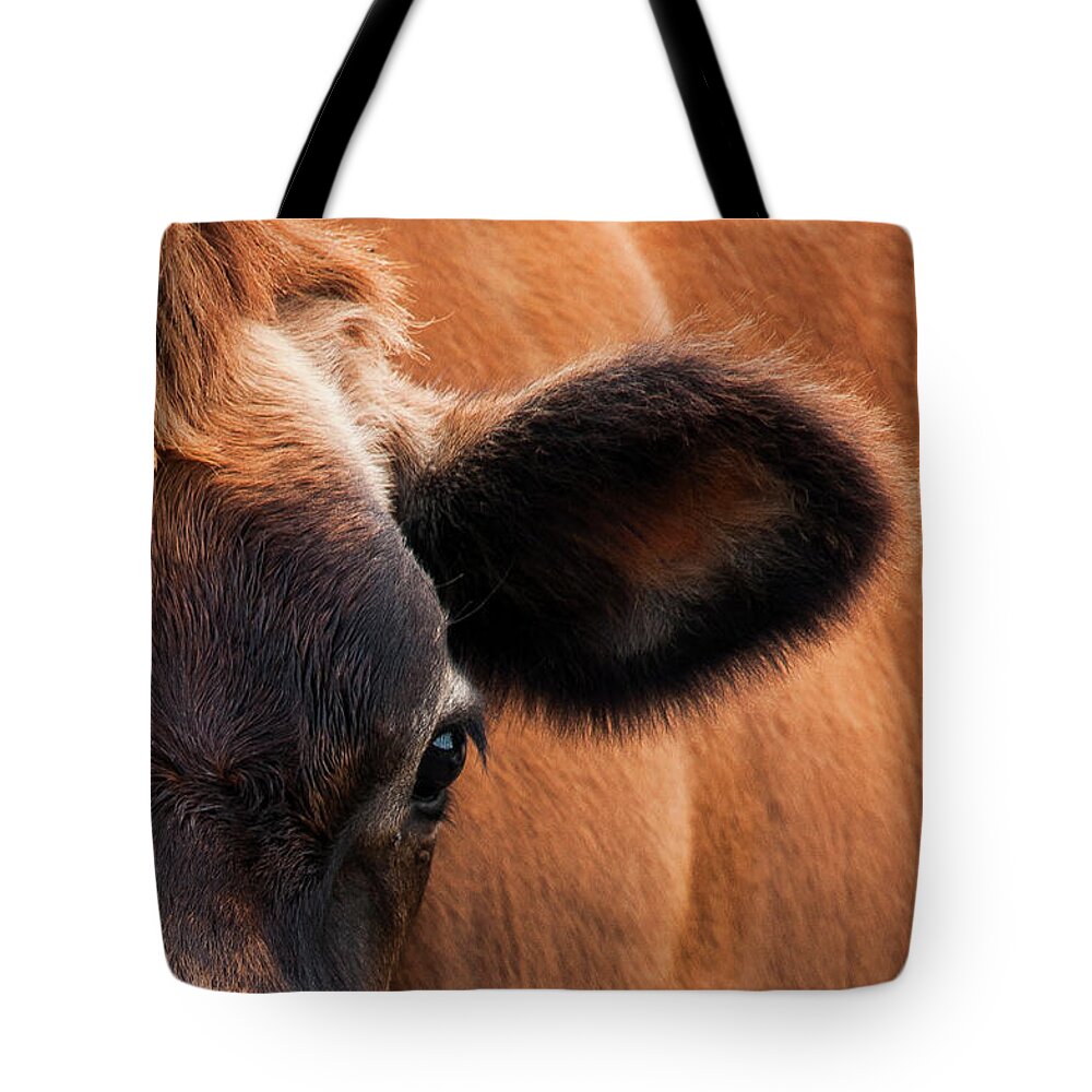 Animal Photography Tote Bag featuring the photograph Elsie's Ear by Ginger Stein