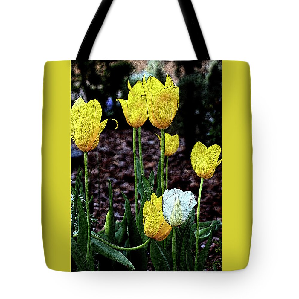 Nature Tote Bag featuring the photograph Embossed Yellow and White Tulips by Sheila Brown