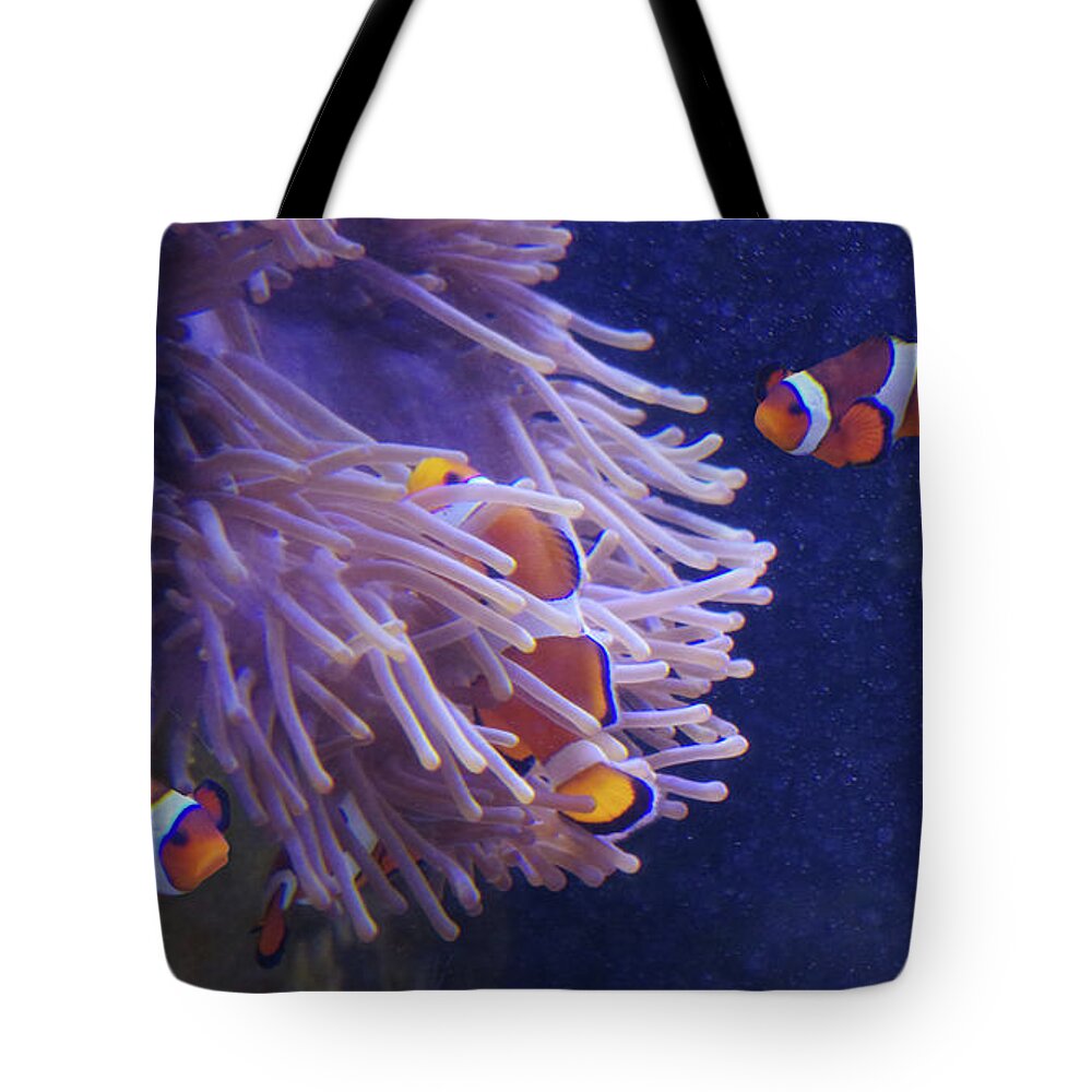 Adria Trail Tote Bag featuring the photograph Embrace by Adria Trail