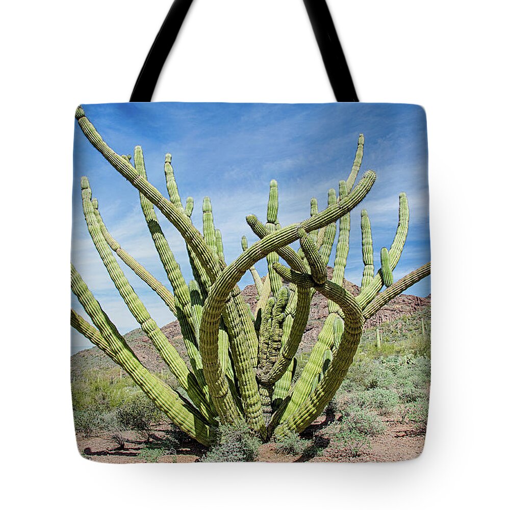 Cristate Tote Bag featuring the photograph Embracing the cristate by Gaelyn L Olmsted