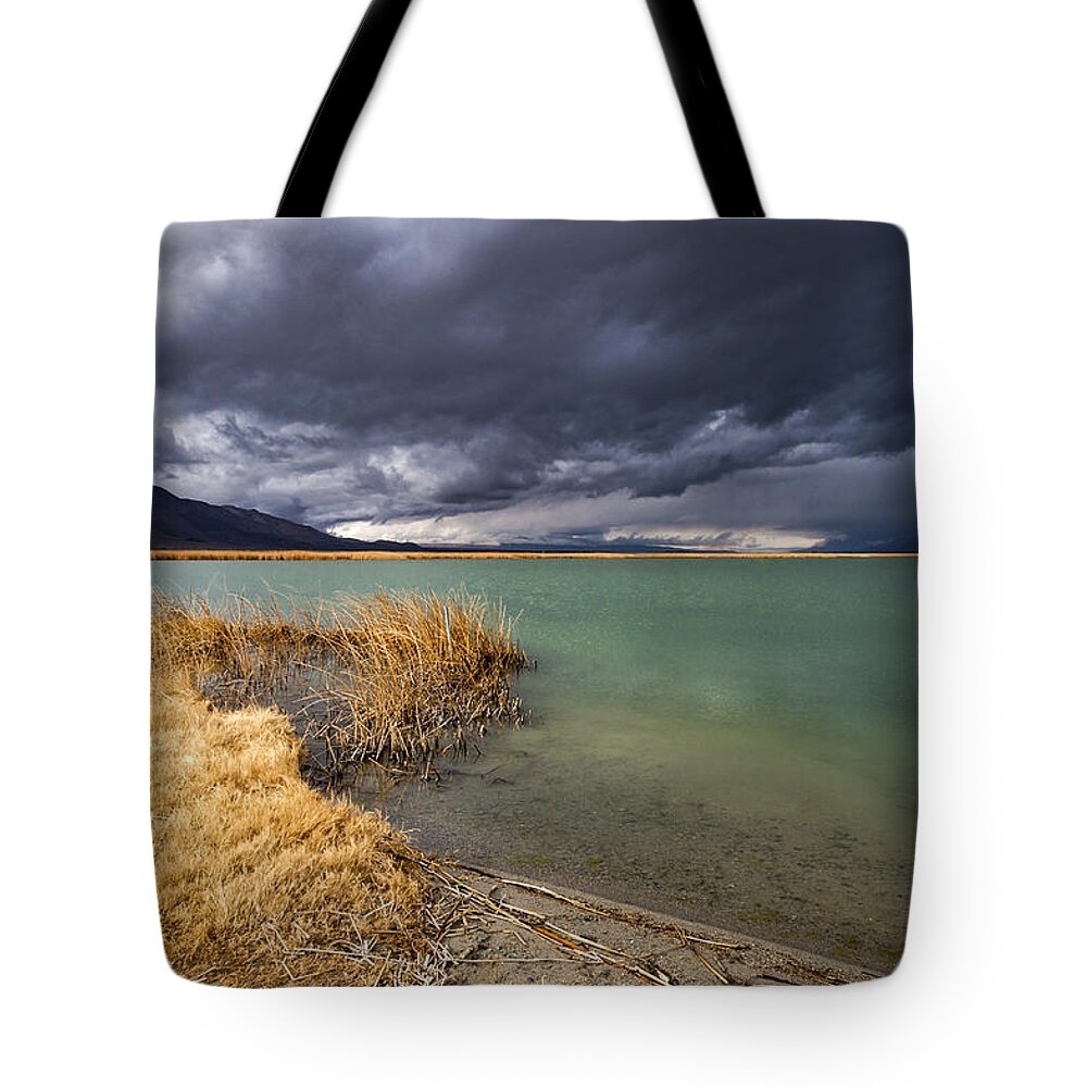 Storm Tote Bag featuring the photograph Emerald Green Storm by Cat Connor
