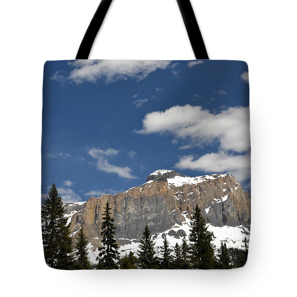 Emerald Lake Tote Bag featuring the photograph Emerald Lake Mountains by Ginny Barklow