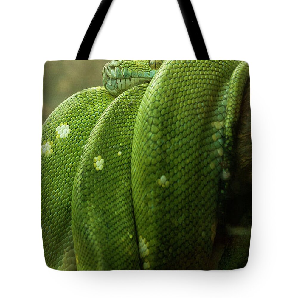 Snake Tote Bag featuring the photograph Emerald tree Boa by Ruth Jolly