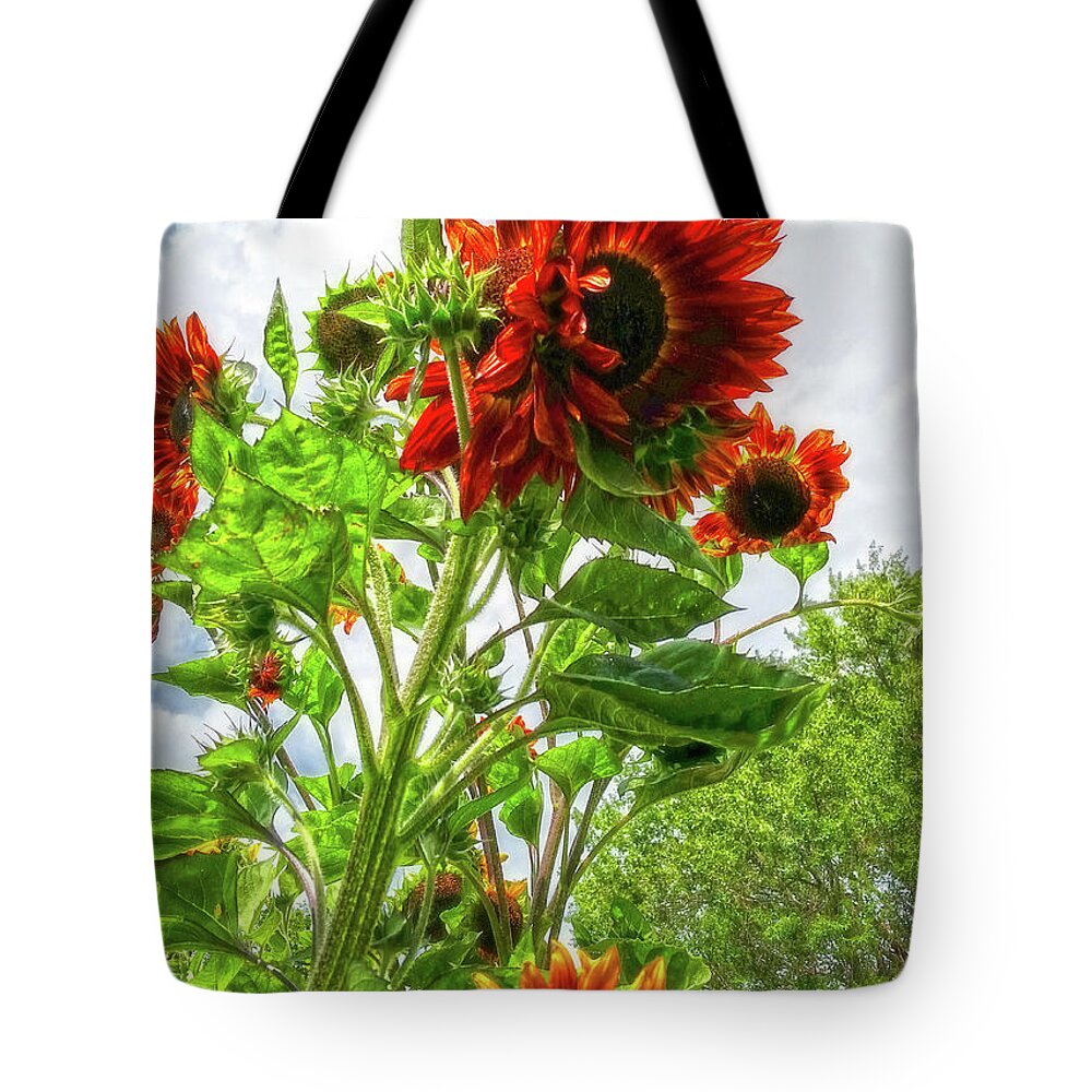 Sunflowers Tote Bag featuring the photograph Emeralds and Fire by Amanda Smith