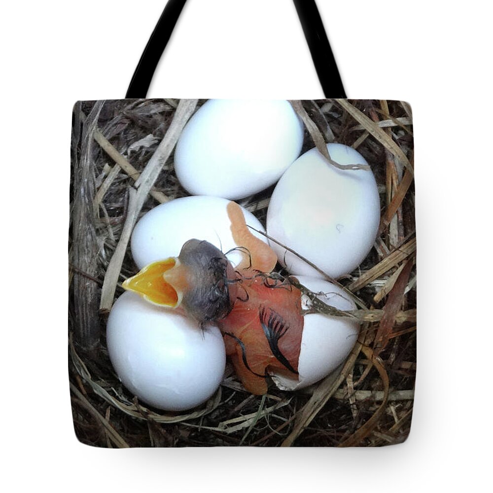 New Born. Bluebird Tote Bag featuring the photograph Emerging by Jerry Griffin