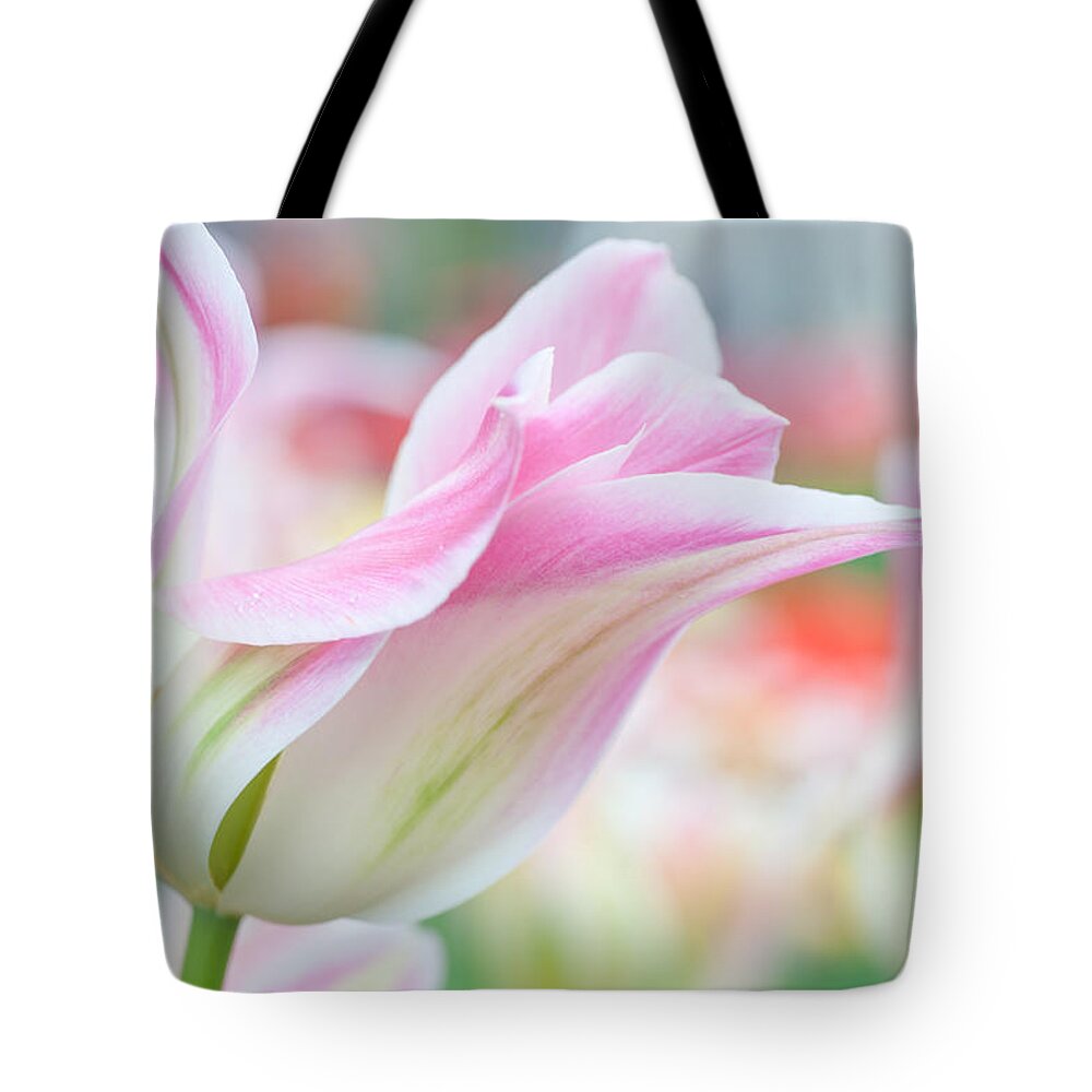 Tulip Tote Bag featuring the photograph Emollient Lightness. Tulips of Keukenhof by Jenny Rainbow