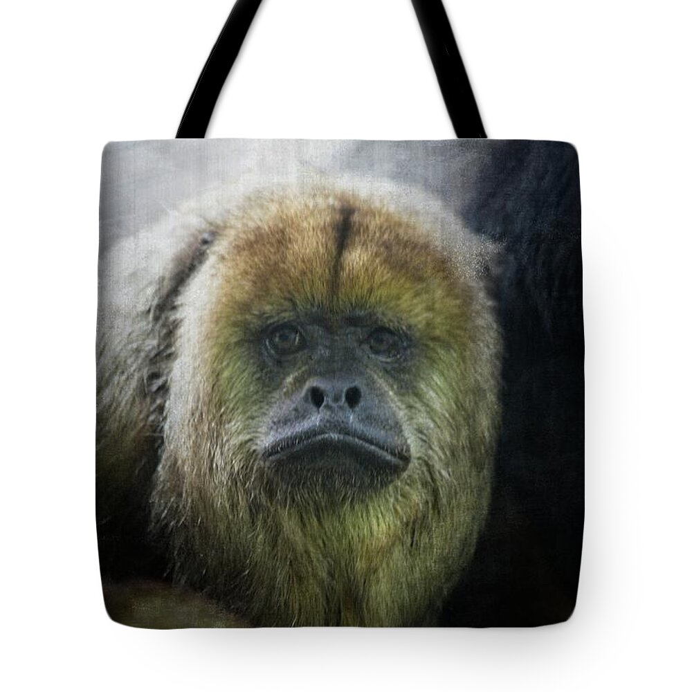 Howler Monkey Tote Bag featuring the photograph What a Face #1 by Karol Livote