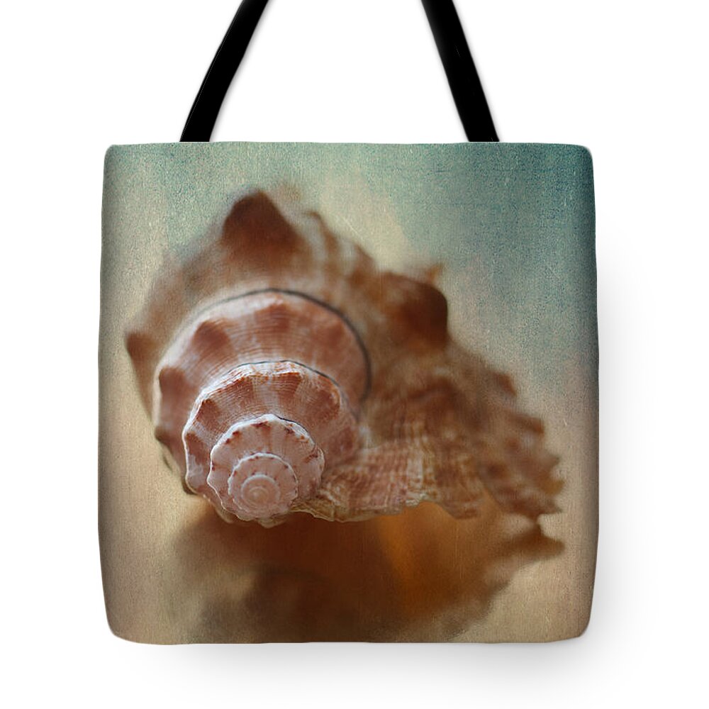 Shell Tote Bag featuring the photograph Empty Nest by Maggie Terlecki