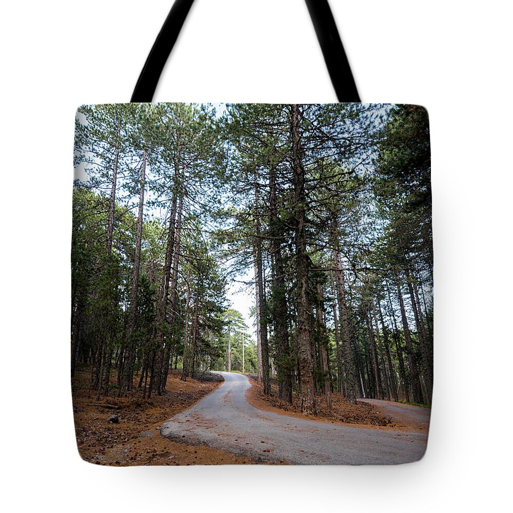 Landscape Tote Bag featuring the photograph Empty road passing through the forest by Michalakis Ppalis