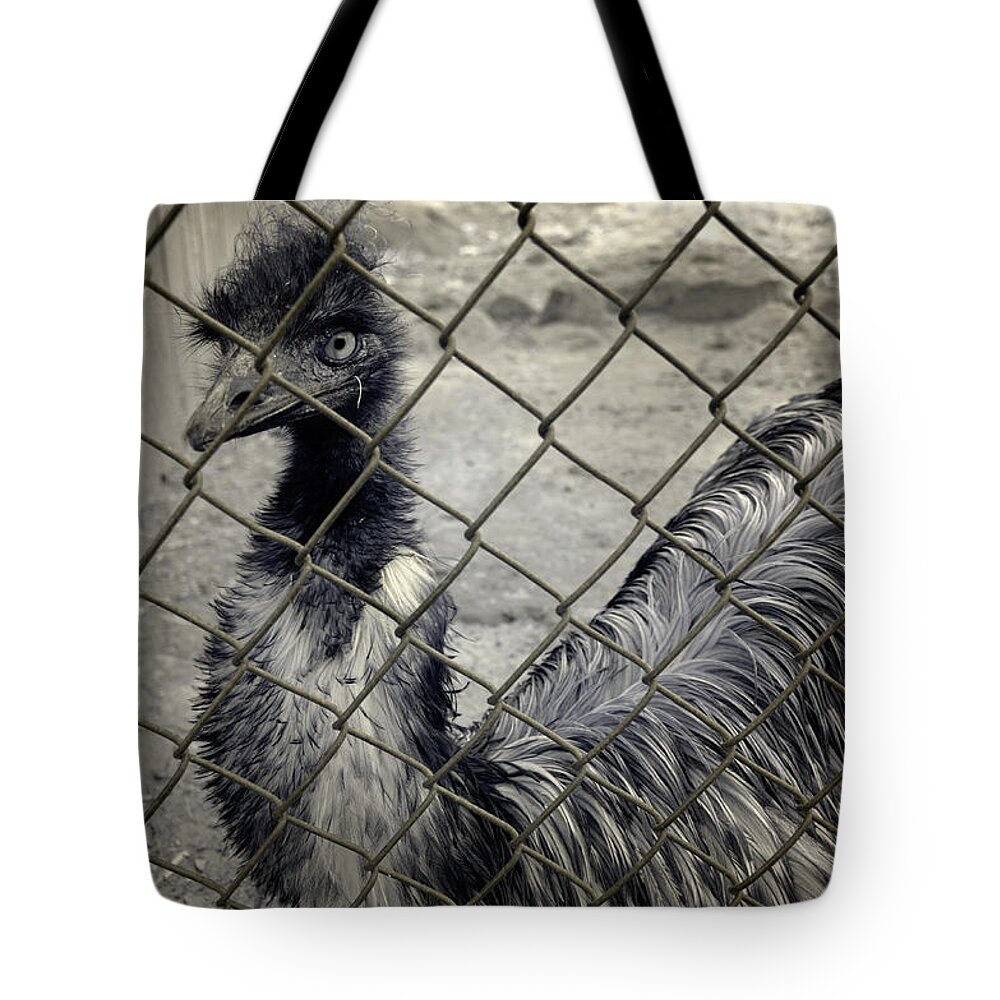 Emu Tote Bag featuring the photograph Emu at the Zoo by Luke Moore