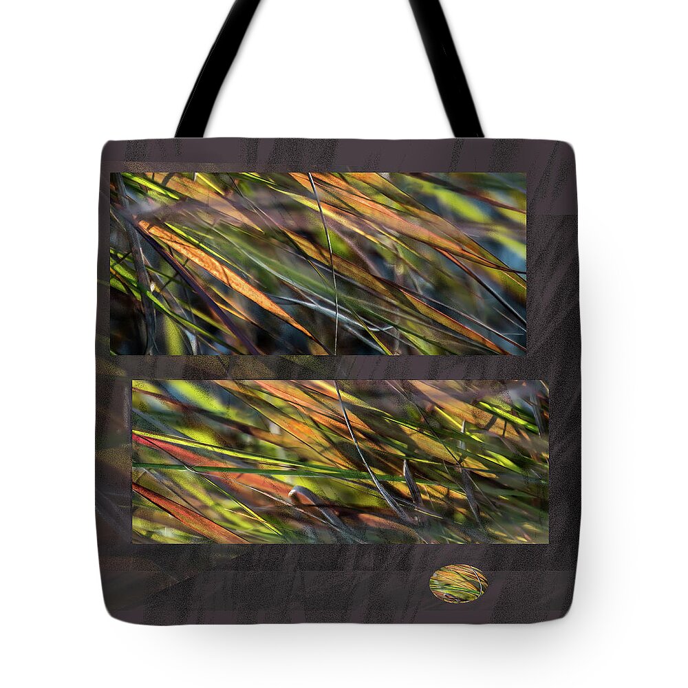 Multicolored Grasses Tote Bag featuring the photograph Enchanted by Light - by Julie Weber