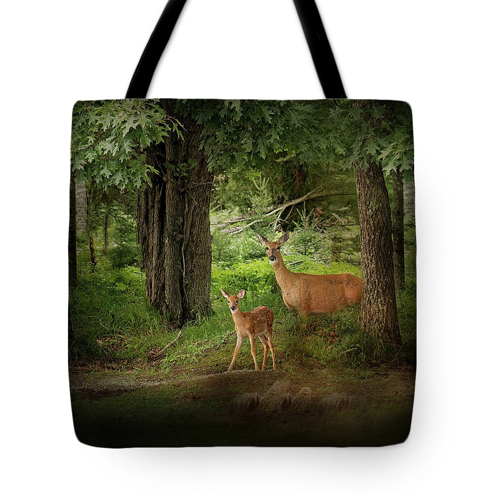 Deer Print Tote Bag featuring the photograph Enchanted Forest Deer Print by Gwen Gibson