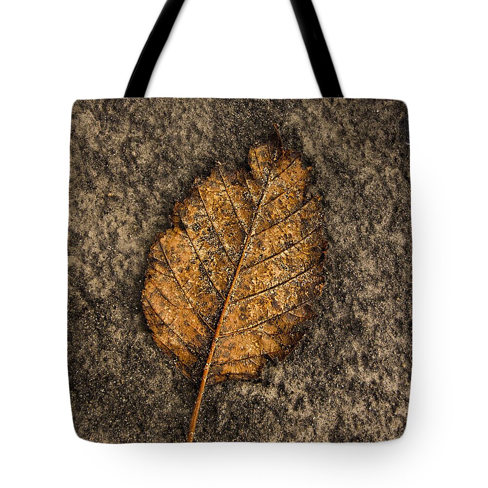 Brown Tote Bag featuring the photograph End of the Year by Fred Denner