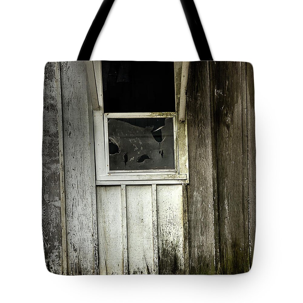 Abandoned Home Tote Bag featuring the photograph Endless by Mike Eingle