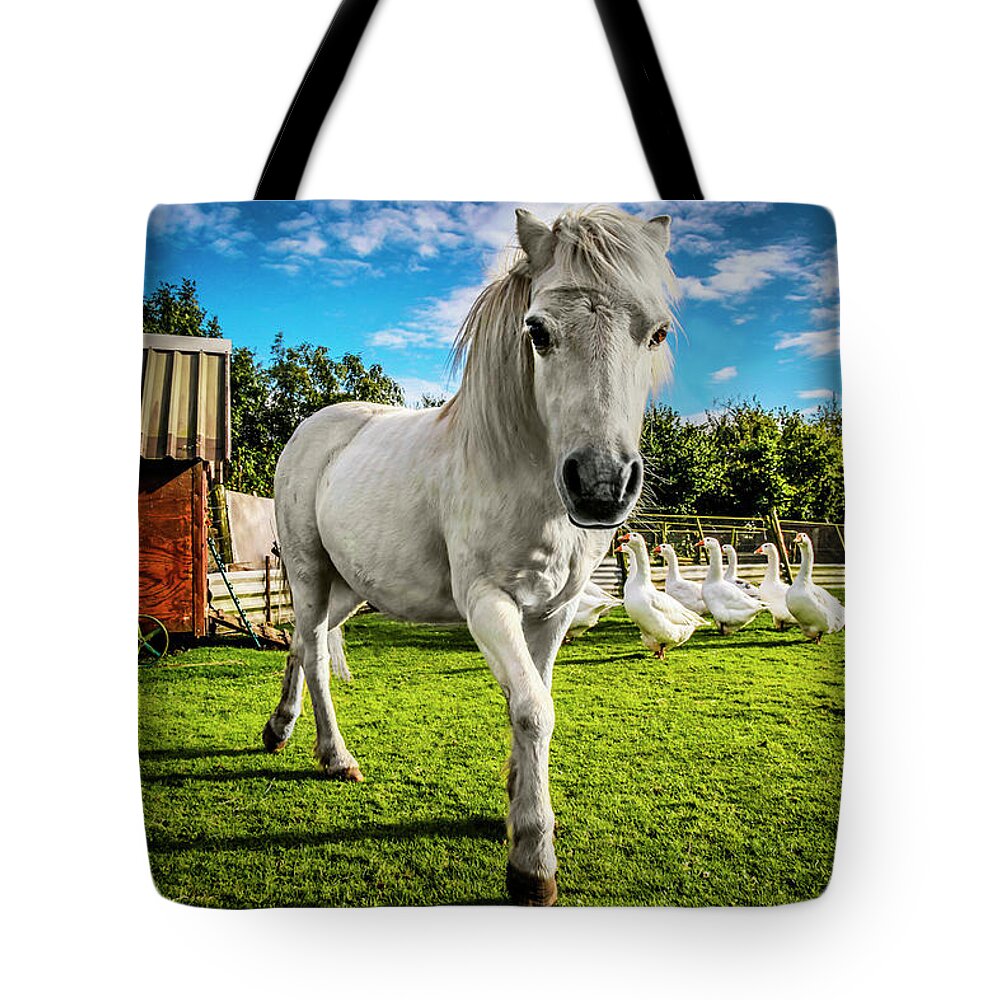 Horse White Pony Gypsy Camp Trailer Wagon Geese Grass Blue Sky Rural England Colorful Tote Bag featuring the photograph English Gypsy Horse by Jennifer Wright