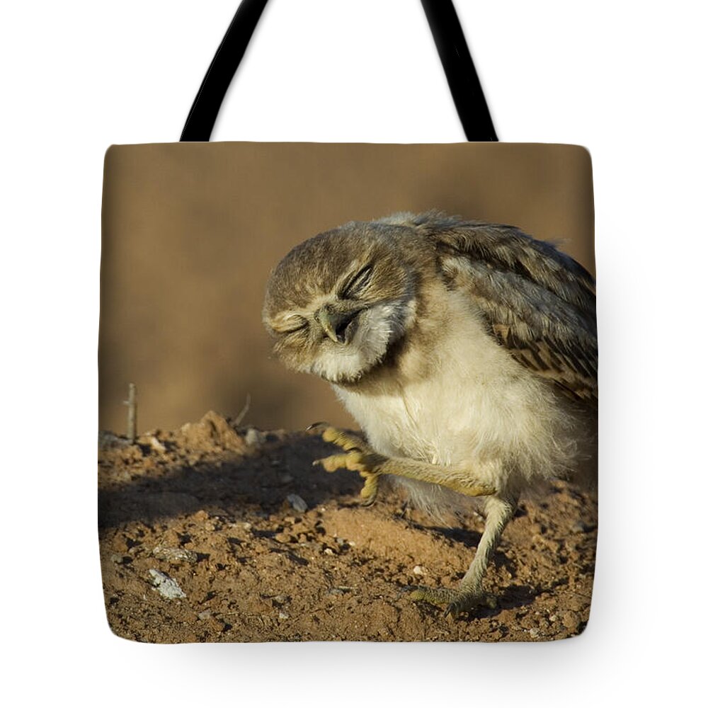 Owl Tote Bag featuring the photograph Enjoy the Day by Sue Cullumber