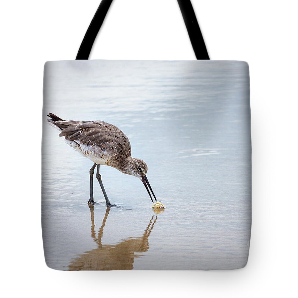 Florida Tote Bag featuring the photograph Enjoying A Meal by Todd Blanchard