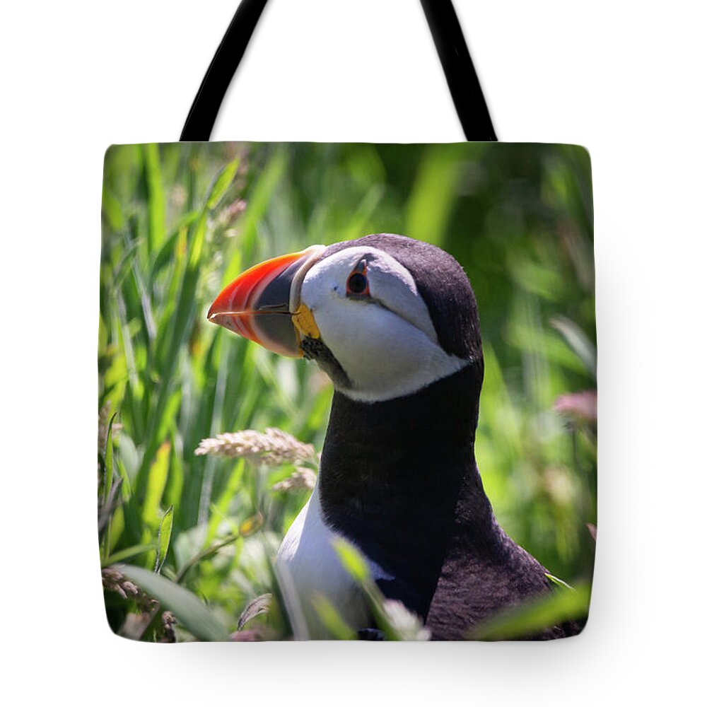 Skomer Island Tote Bag featuring the photograph Enjoying the Tall Grass by Framing Places