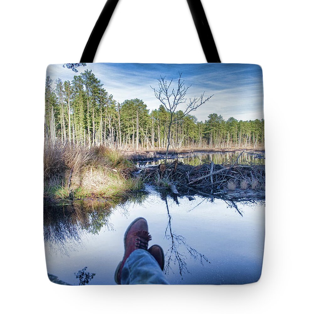 Landscape Tote Bag featuring the photograph Enjoying the View by Beth Venner