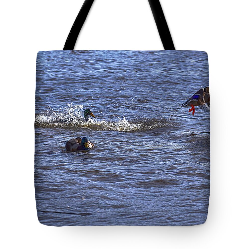 Escape Tote Bag featuring the photograph Escape 3 #g2 by Leif Sohlman