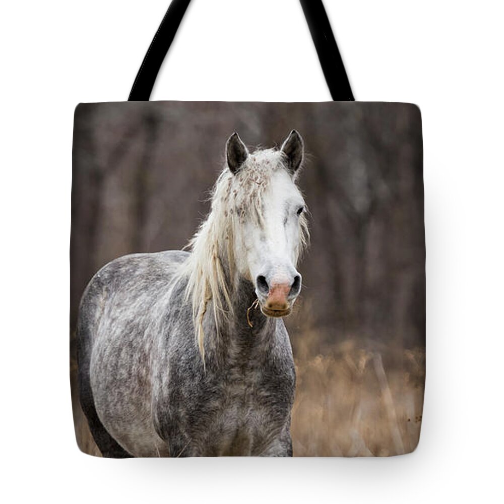Horse Tote Bag featuring the photograph Escape by Holly Ross