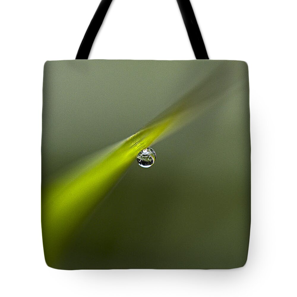 Essence Of Life Tote Bag featuring the photograph Essence Of Life by Marty Saccone
