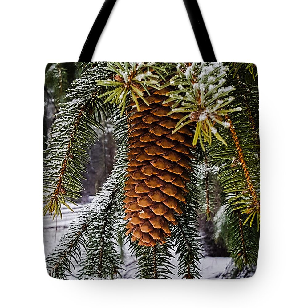 Pine Tote Bag featuring the photograph Essence of winter by Bruce Carpenter