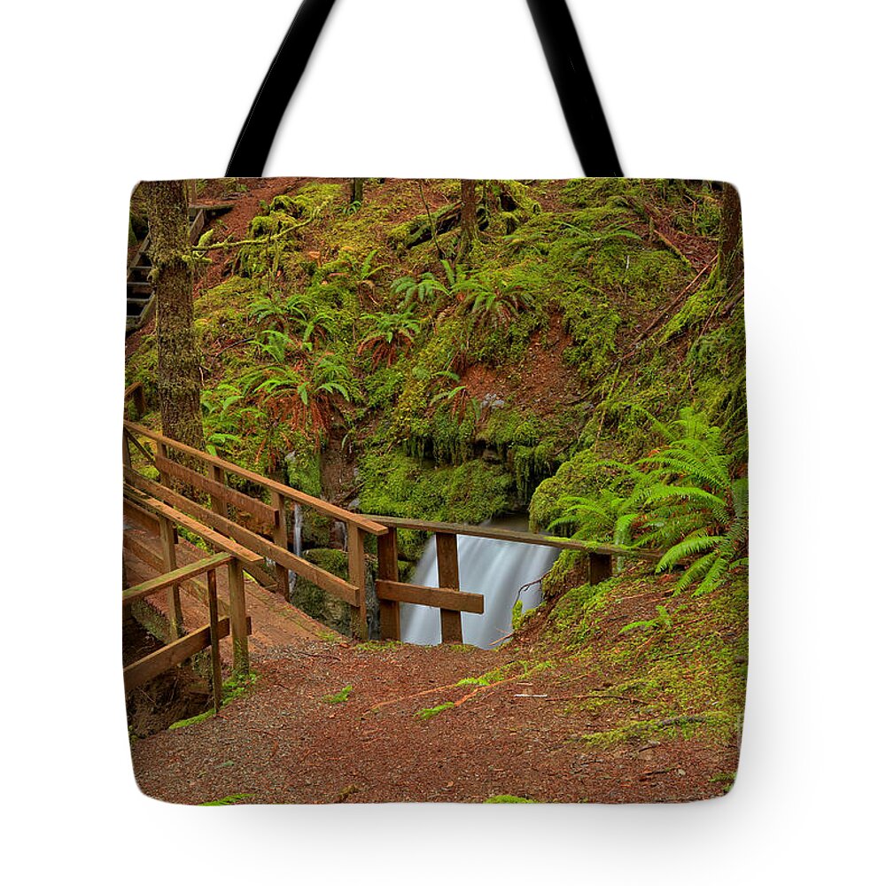 Eternal Fountain Tote Bag featuring the photograph Eternal Fountain British Columbia by Adam Jewell