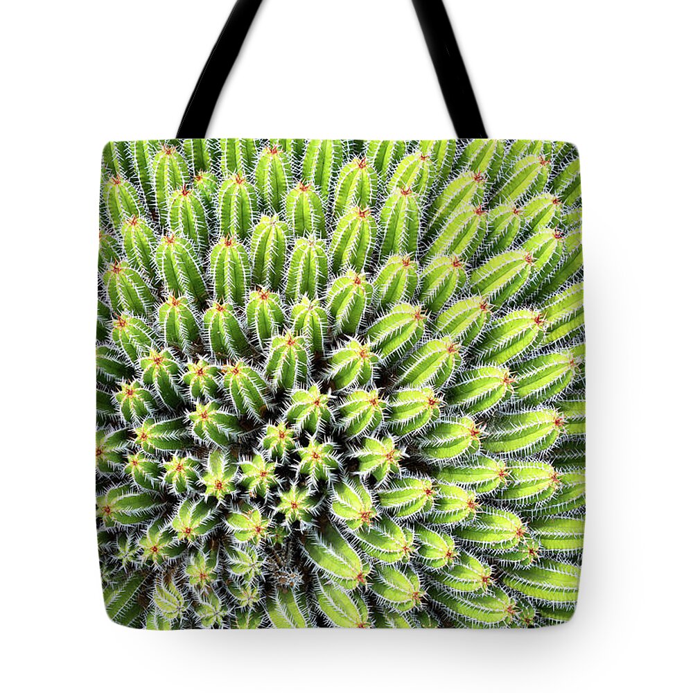 Cactus Tote Bag featuring the photograph Euphorbia by Delphimages Photo Creations