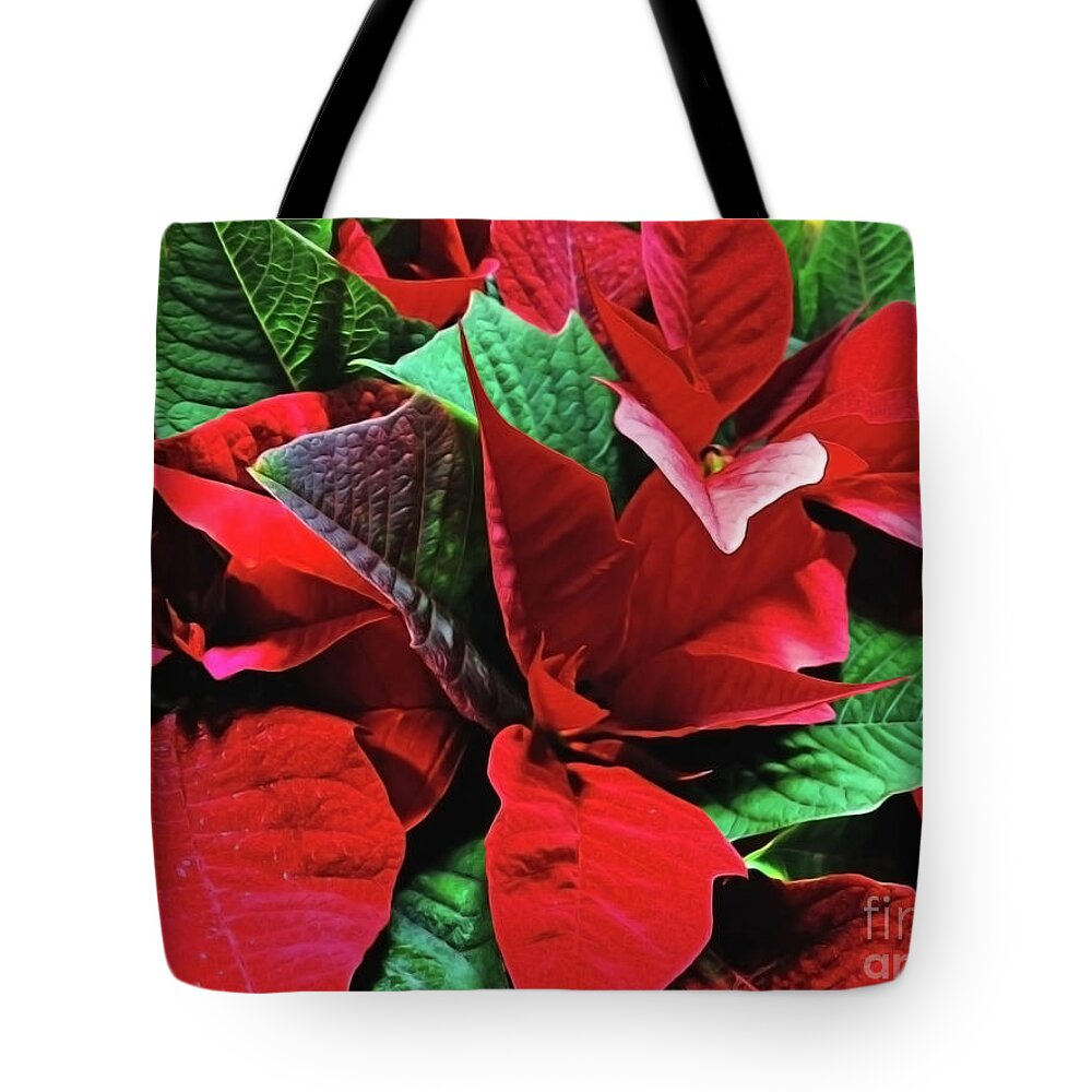 Christmas Decoration Tote Bag featuring the photograph Euphorbia pulcherrima by Jasna Dragun
