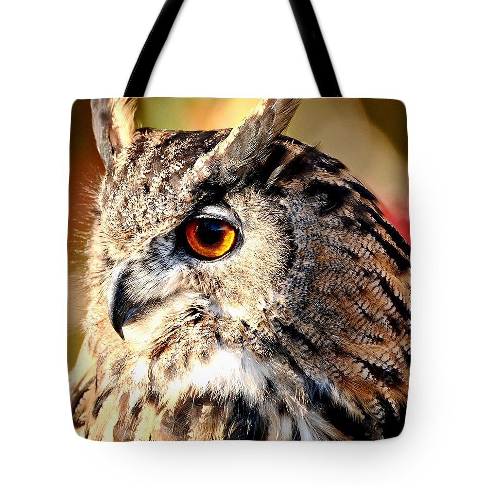 Owl Tote Bag featuring the photograph Eurasion Eagle Owl by Amy McDaniel