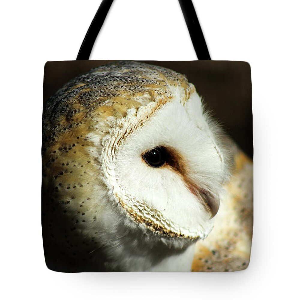 Owl Tote Bag featuring the photograph European Barn Owl by Holly Ross