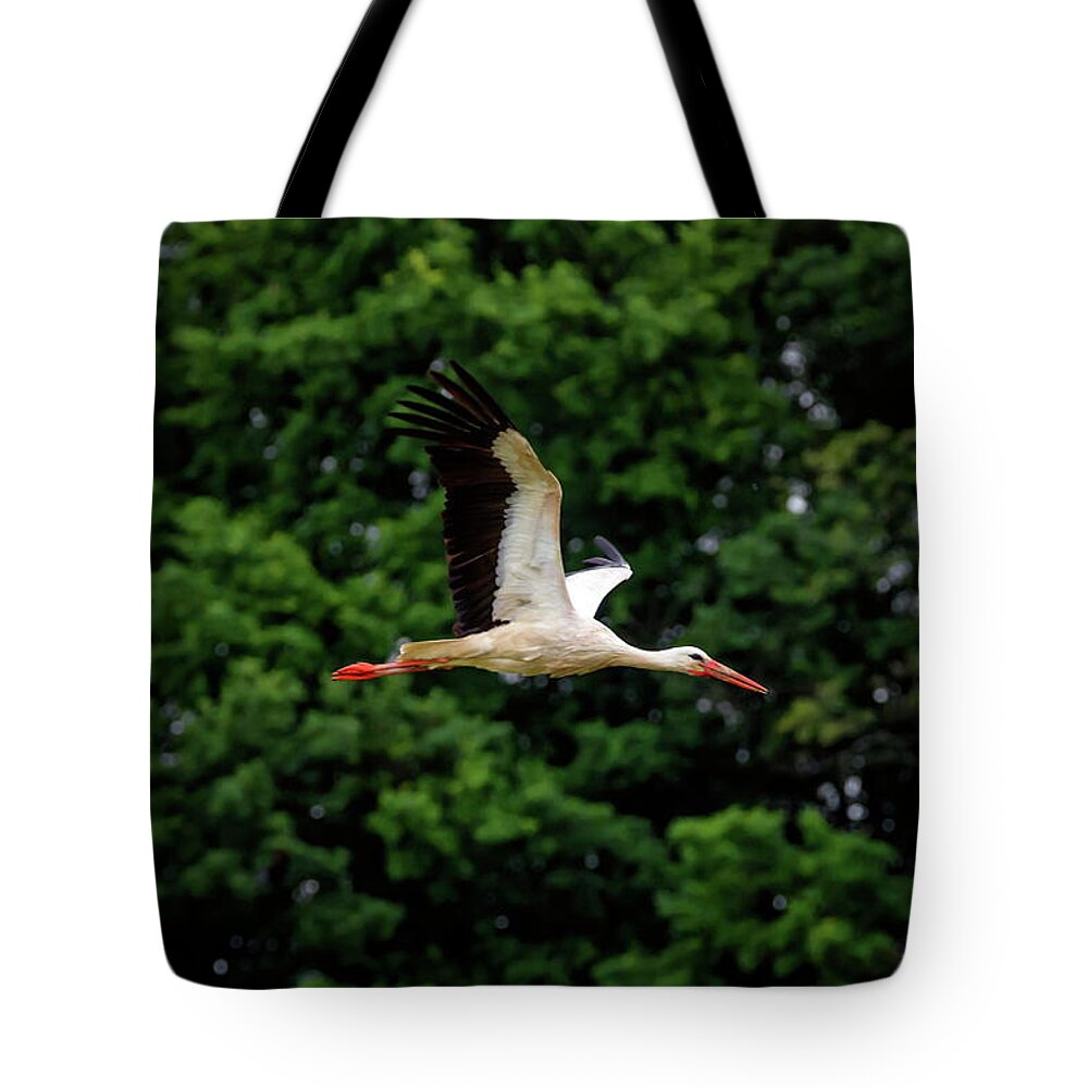 Stork Tote Bag featuring the photograph European white stork, ciconia,flying by Elenarts - Elena Duvernay photo