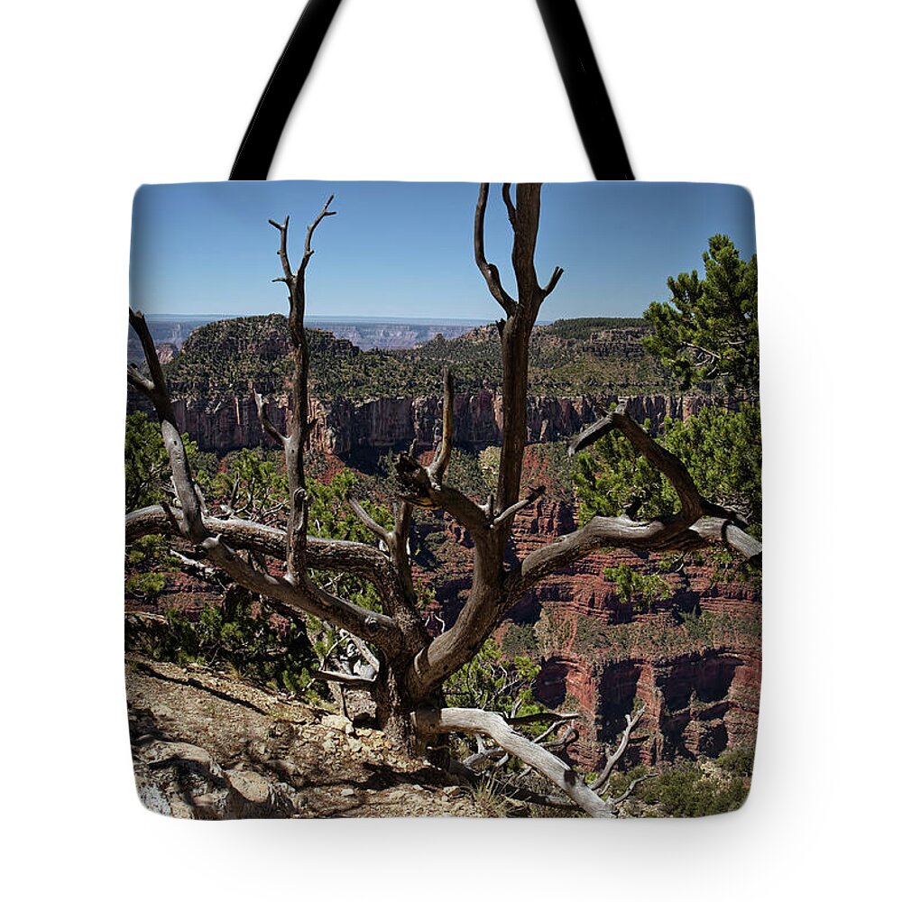 Travel Tote Bag featuring the photograph Even When I Close My Eyes You Are There by Lucinda Walter