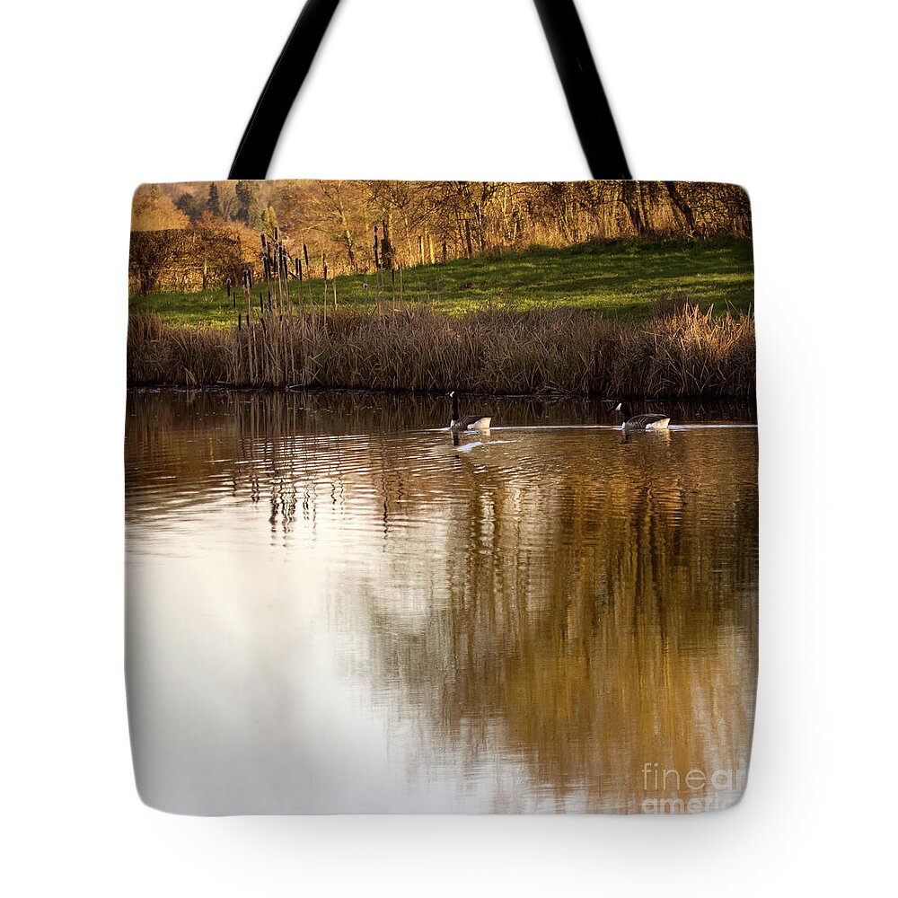 Pond Tote Bag featuring the photograph Evening By The Pond by Ang El